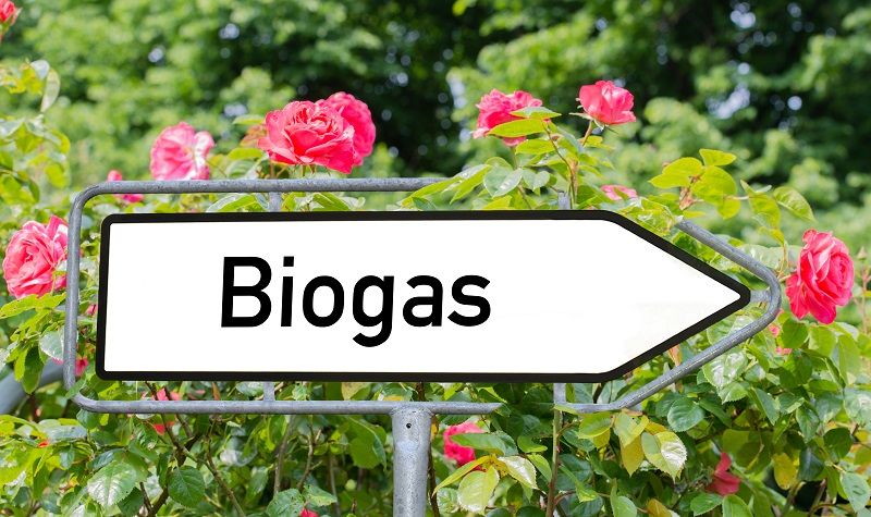 Cedule Biogas